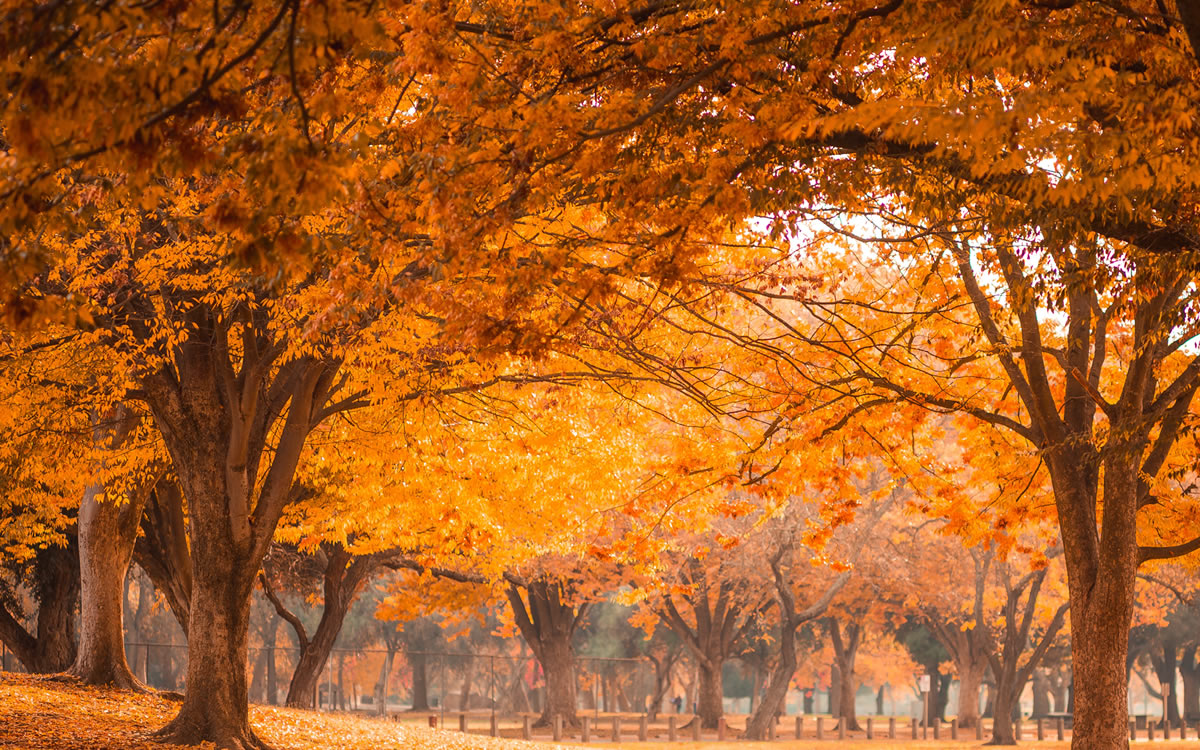 Horoskop na november 2023